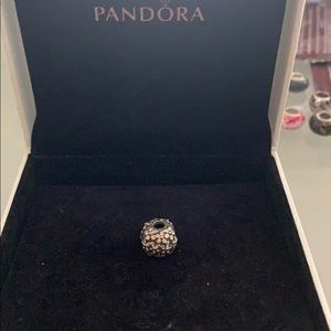 Pandora Charm